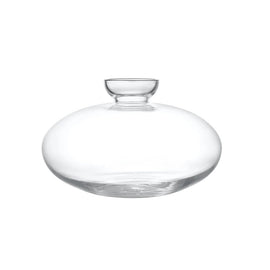 Blomus - Avo avocado glass vase sprouting pot size S Blomus - Avo avocado glazen vaas kiempot maat S Avocado vaas Blomus