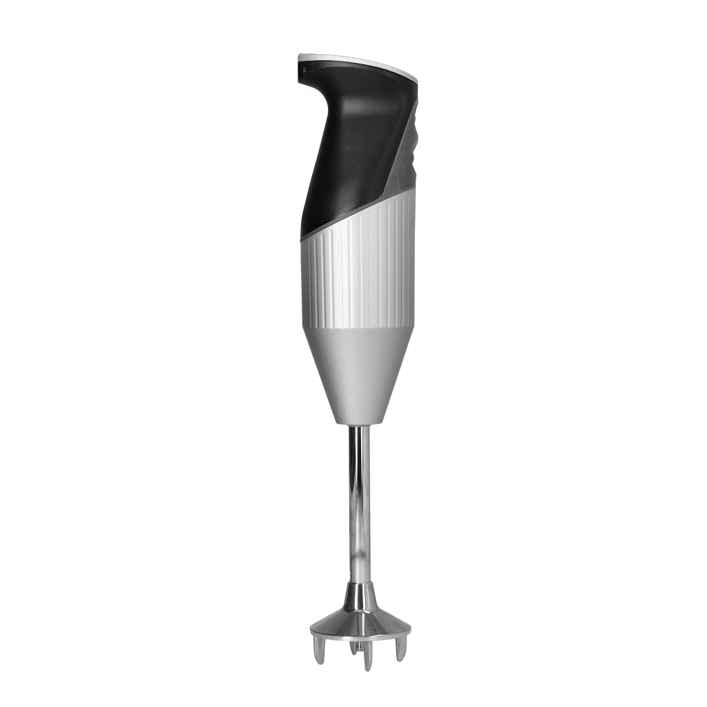 Bamix - superbox m250 silver