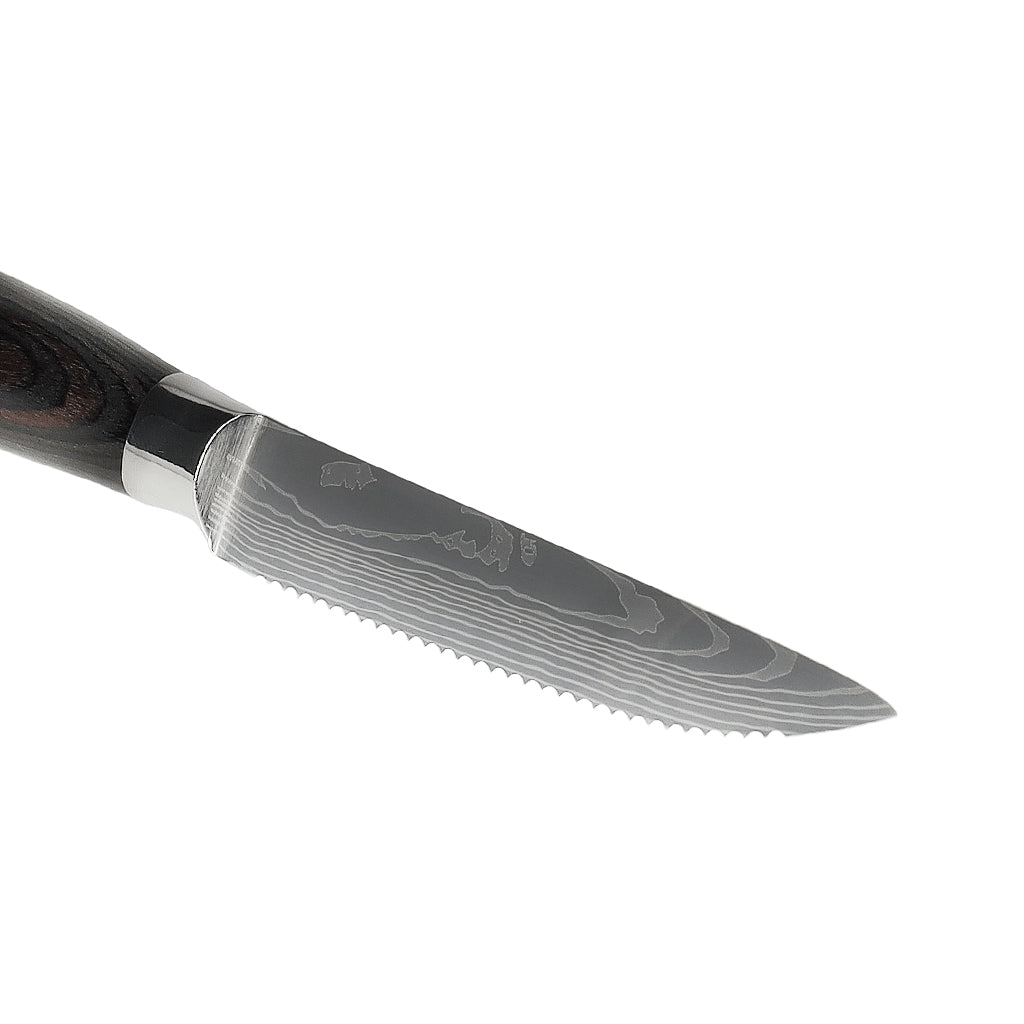 Shinrai Japan - Damascus Print 4 Steak knives