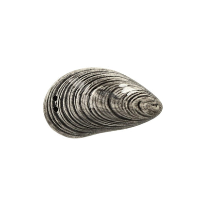 &Klevering - Zout & peper mossel Peper- en zout set &Klevering 
