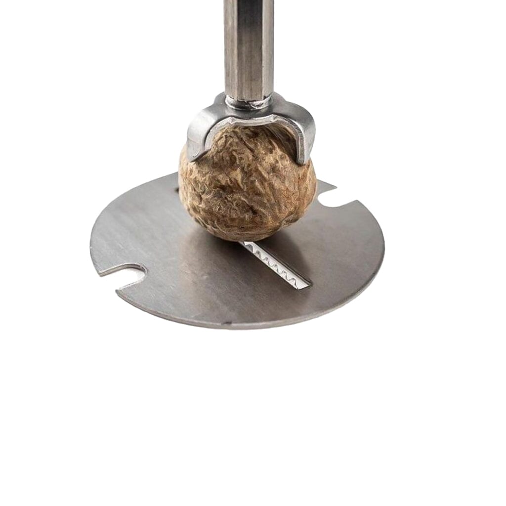 Peugeot - Daman Muskaatmolen 15 cm - Inox En Acryl Muscaatmolen Peugeot 