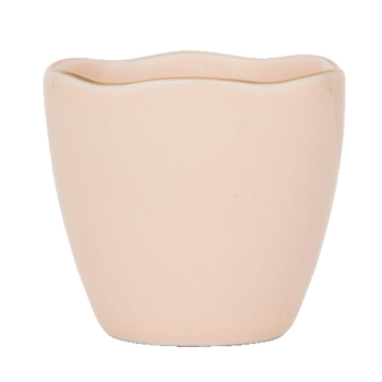 Nature Urbaine - Culture Bonjour - Coquetiers Rose Vieux - Lot de 2 Culture Nature Urbaine